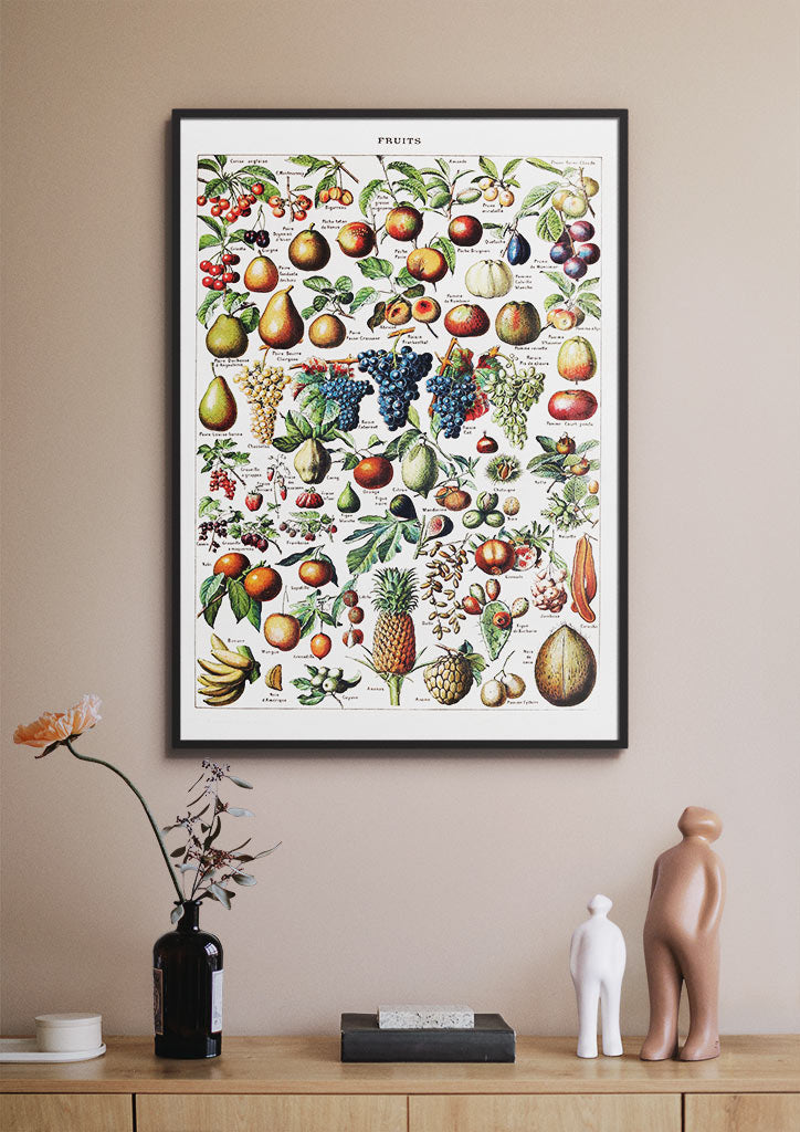 Adolphe Millot Print- Fruits