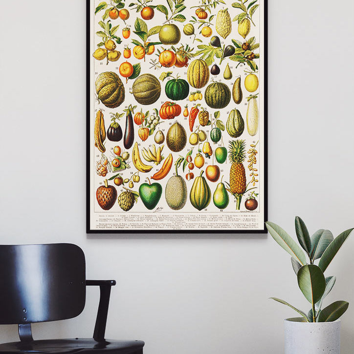 Adolphe Millot - Fruits and Vegetables