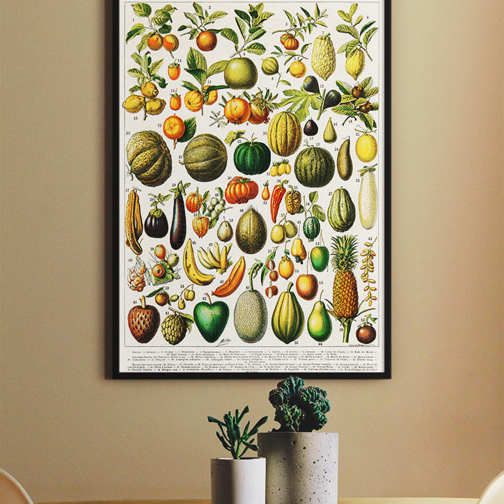 Adolphe Millot - Fruits and Vegetables