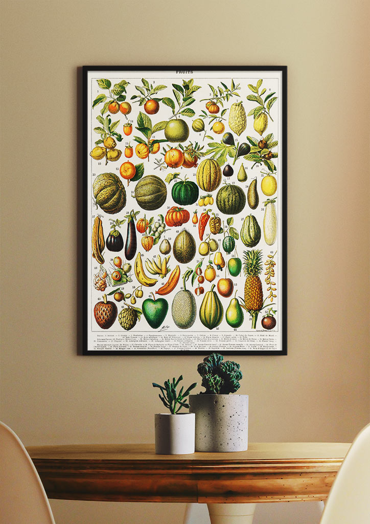 Adolphe Millot - Fruits and Vegetables