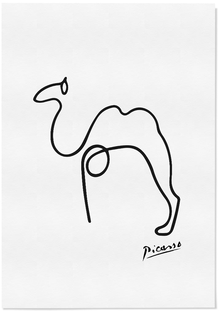 Picasso Line Drawings Camel